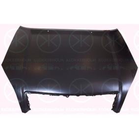 Motorhaube 8128280