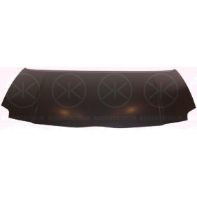 Motorhaube 8128281