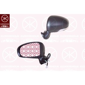 Kühlergrill 8133990