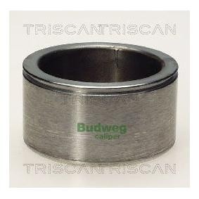Kolben, Bremssattel 8170 235404