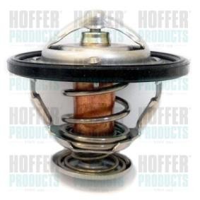 Achetez des Thermostat d'eau HOFFER 8192123 à prix pour 19,74 €