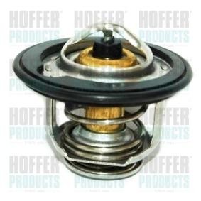 Achetez des Thermostat d'eau HOFFER 8192183 à prix pour 20,40 €