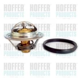 Achetez des Thermostat d'eau HOFFER 8192830 à prix pour 30,16 €