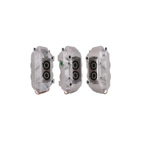 Bremssattel 83-1308-1