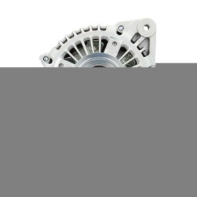 JAGUAR Lichtmaschine von BV PSH