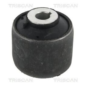 Lagerung, Lenker von TRISCAN
