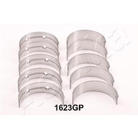 Acquista Kit cuscinetto albero a gomiti da ASHIKA 86-1623GP a buon mercato per soli 40,78 €