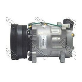 Acquista Compressore aria condizionata da TEAMEC 8600005 a buon mercato per soli 193,52 €