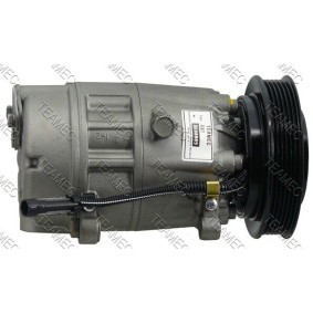 Acquista Compressore aria condizionata da TEAMEC 8600009 a buon mercato per soli 201,42 €