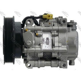 Acquista Compressore aria condizionata da TEAMEC 8600012 a buon mercato per soli 216,97 €