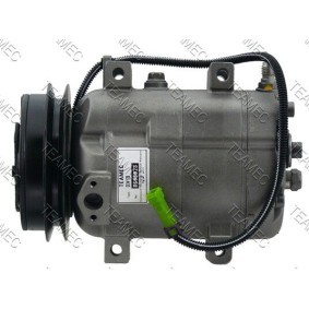 Acquista Compressore aria condizionata da TEAMEC 8600023 a buon mercato per soli 216,97 €