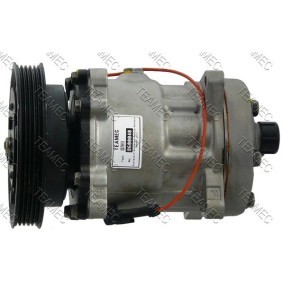 Acquista Compressore aria condizionata da TEAMEC 8600040 a buon mercato per soli 193,52 €