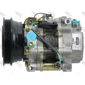 Acquista Compressore aria condizionata da TEAMEC 8600043 a buon mercato per soli 205,26 €