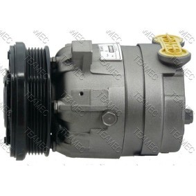 Acquista Compressore aria condizionata da TEAMEC 8600048 a buon mercato per soli 200,15 €