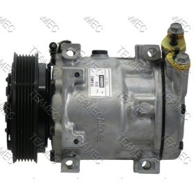Acquista Compressore aria condizionata da TEAMEC 8600064 a buon mercato per soli 183,61 €