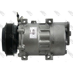 Acquista Compressore aria condizionata da TEAMEC 8600066 a buon mercato per soli 185,60 €