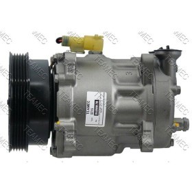 Acquista Compressore aria condizionata da TEAMEC 8600070 a buon mercato per soli 183,61 €