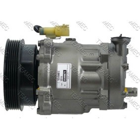 Acquista Compressore aria condizionata da TEAMEC 8600071 a buon mercato per soli 179,77 €