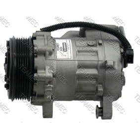 Acquista Compressore aria condizionata da TEAMEC 8600080 a buon mercato per soli 189,08 €