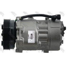 Acquista Compressore aria condizionata da TEAMEC 8600081 a buon mercato per soli 169,62 €