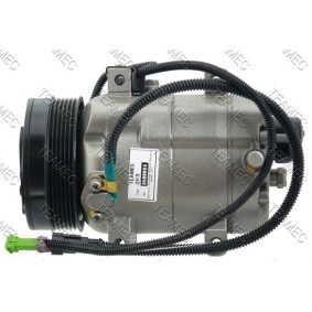Acquista Compressore aria condizionata da TEAMEC 8600084 a buon mercato per soli 191,57 €