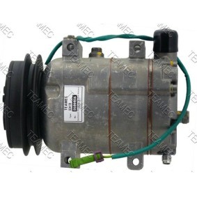 Acquista Compressore aria condizionata da TEAMEC 8600086 a buon mercato per soli 243,84 €