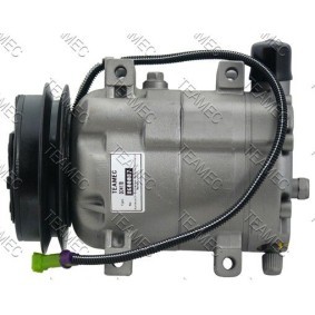 Acquista Compressore aria condizionata da TEAMEC 8600087 a buon mercato per soli 243,84 €