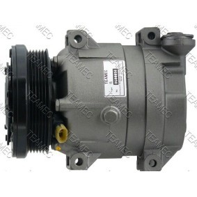 Acquista Compressore aria condizionata da TEAMEC 8600094 a buon mercato per soli 215,85 €
