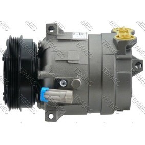 Acquista Compressore aria condizionata da TEAMEC 8600095 a buon mercato per soli 177,65 €