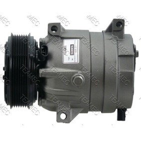 Acquista Compressore aria condizionata da TEAMEC 8600096 a buon mercato per soli 171,95 €