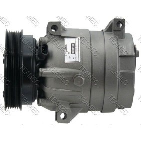 Acquista Compressore aria condizionata da TEAMEC 8600109 a buon mercato per soli 164,22 €