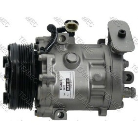 Acquista Compressore aria condizionata da TEAMEC 8600115 a buon mercato per soli 167,64 €