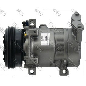 Acquista Compressore aria condizionata da TEAMEC 8600116 a buon mercato per soli 175,64 €