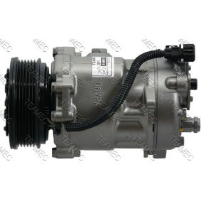 Acquista Compressore aria condizionata da TEAMEC 8600119 a buon mercato per soli 217,95 €