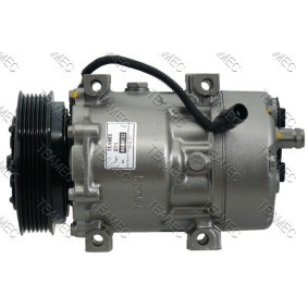 Klimakompressor 8600132