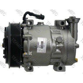 Acquista Compressore aria condizionata da TEAMEC 8600137 a buon mercato per soli 230,89 €