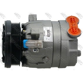Acquista Compressore aria condizionata da TEAMEC 8600148 a buon mercato per soli 200,86 €