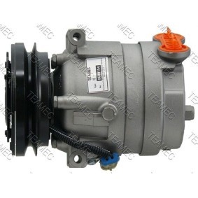 Acquista Compressore aria condizionata da TEAMEC 8600154 a buon mercato per soli 169,62 €