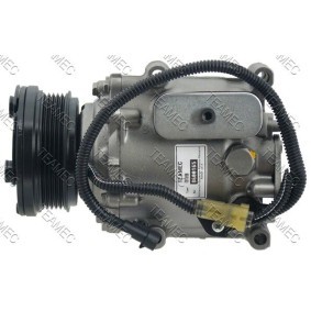 Acquista Compressore aria condizionata da TEAMEC 8600165 a buon mercato per soli 203,29 €