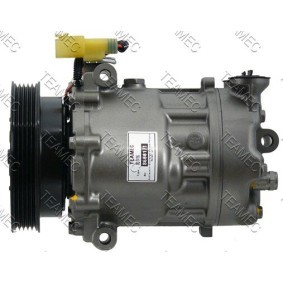 Acquista Compressore aria condizionata da TEAMEC 8600171 a buon mercato per soli 197,50 €