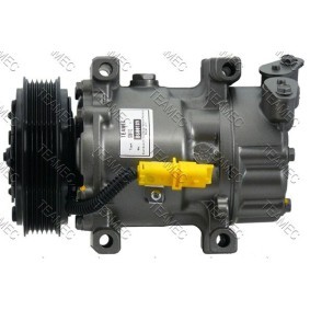 Acquista Compressore aria condizionata da TEAMEC 8600189 a buon mercato per soli 173,65 €