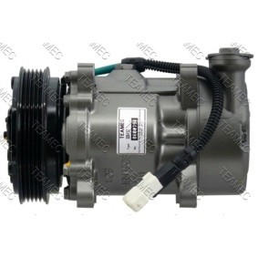 Klimakompressor 8600194