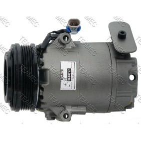 Acquista Compressore aria condizionata da TEAMEC 8600257 a buon mercato per soli 222,08 €