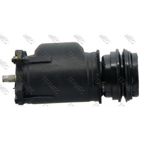 Acquista Compressore aria condizionata da TEAMEC 8601111 a buon mercato per soli 270,38 €