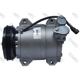 Acquista Compressore aria condizionata da TEAMEC 8614988 a buon mercato per soli 209,16 €