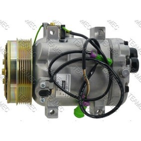 Acquista Compressore aria condizionata da TEAMEC 8618563 a buon mercato per soli 249,52 €
