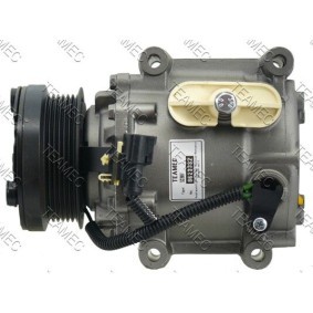 Acquista Compressore aria condizionata da TEAMEC 8623332 a buon mercato per soli 243,84 €