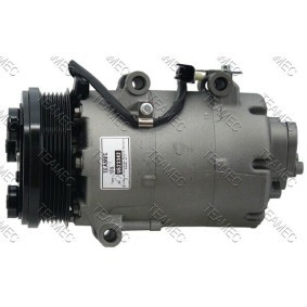 Acquista Compressore aria condizionata da TEAMEC 8623342 a buon mercato per soli 263,10 €