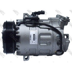 Acquista Compressore aria condizionata da TEAMEC 8629547 a buon mercato per soli 262,79 €