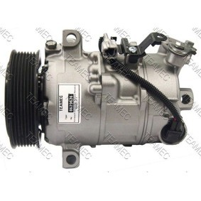 Acquista Compressore aria condizionata da TEAMEC 8629626 a buon mercato per soli 306,07 €